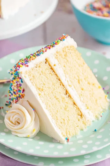Delicious slice of the best vanilla cake on a plate