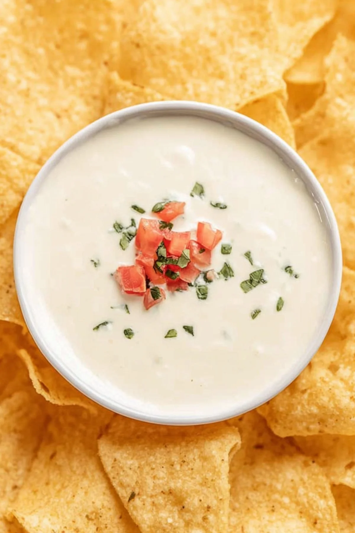 Authentic Mexican Cheese Dip